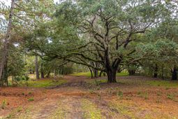 8737 Peters Point Road photo 4