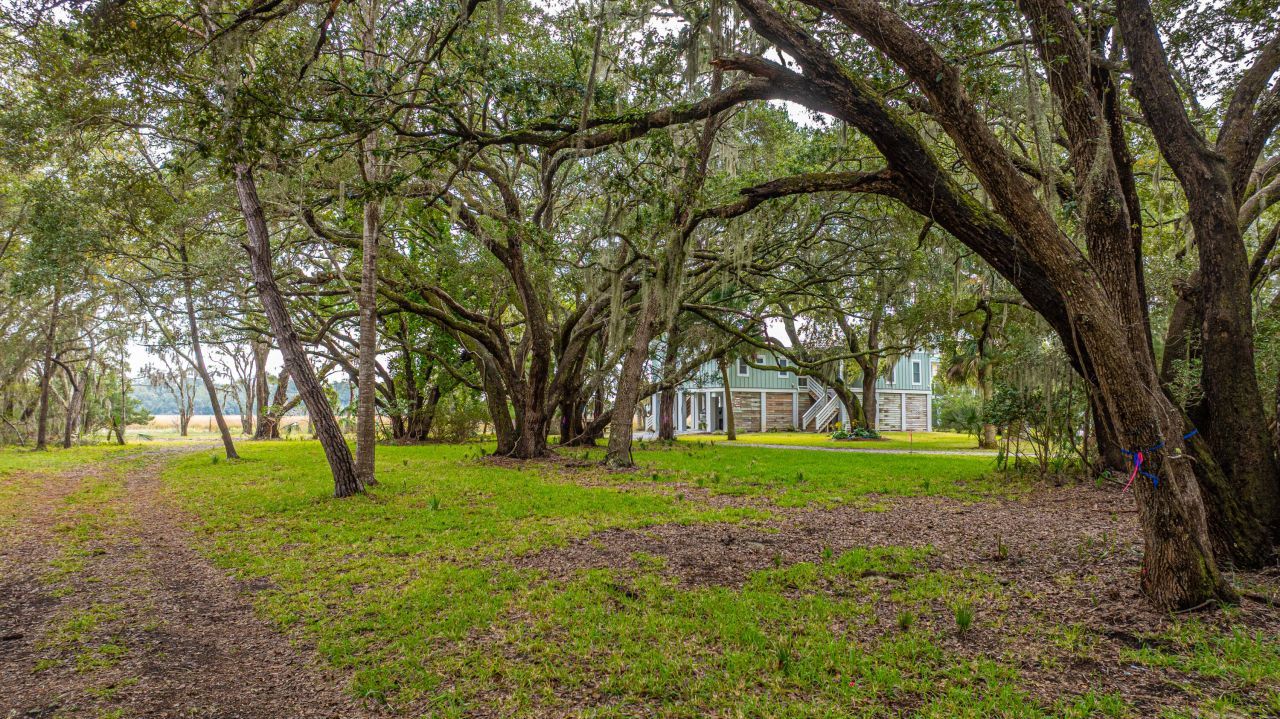 8737 Peters Point Road Photo 40