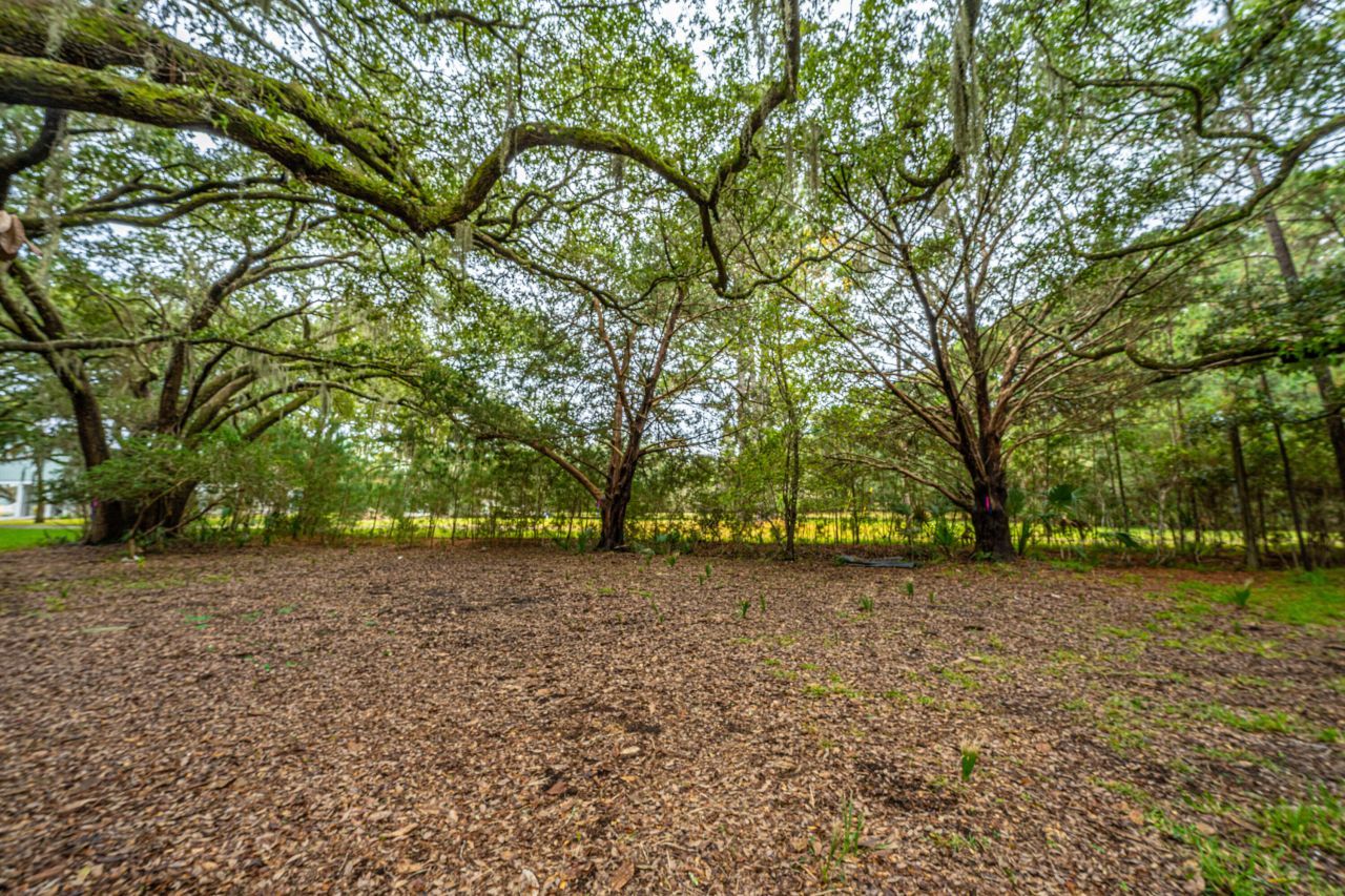 8737 Peters Point Road Photo 9