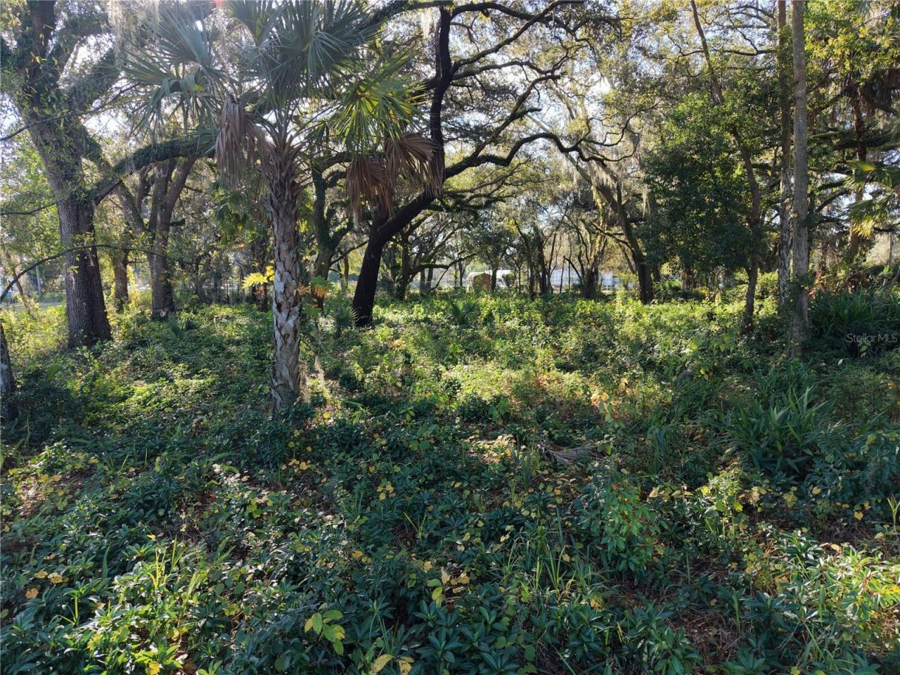 15192 E Colonial Dr, Orlando, FL 32826 Photo