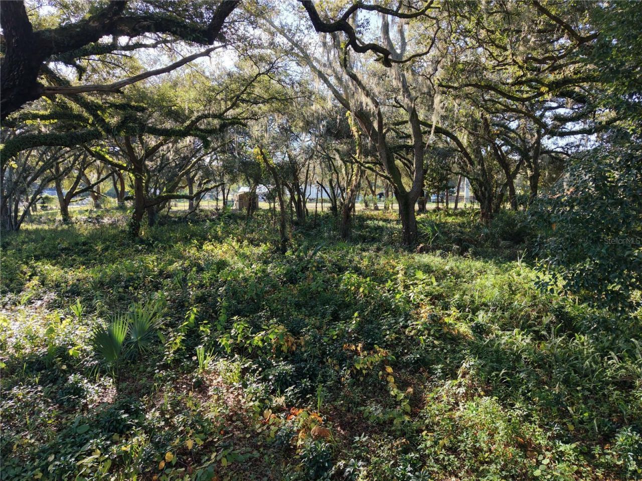 15192 E Colonial Dr, Orlando, FL 32826 Photo