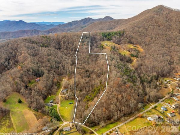 99999 Bay Horse Trail, Candler, NC 28715