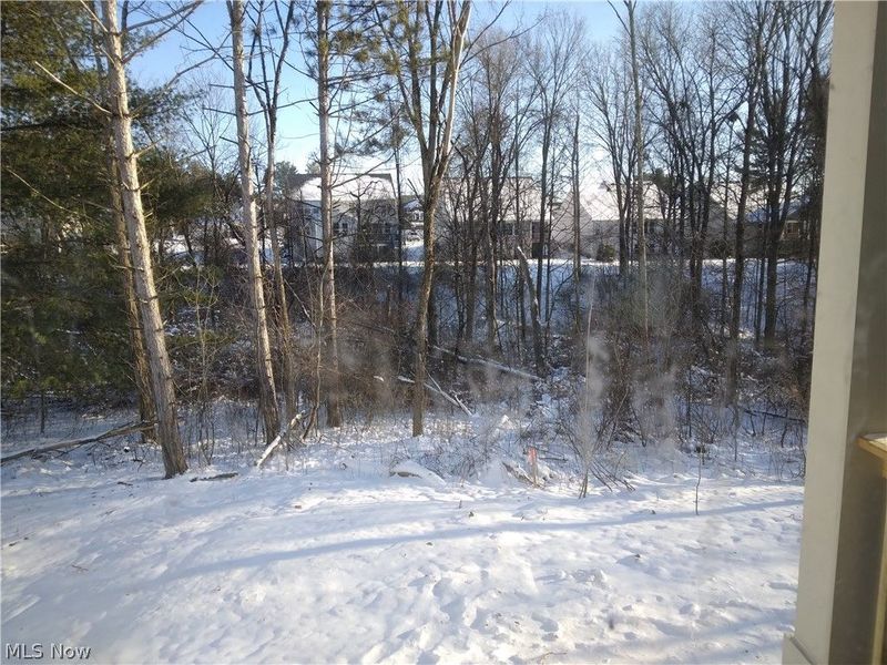 2798 Grayson Drive, Medina, OH 44256 Photo 14