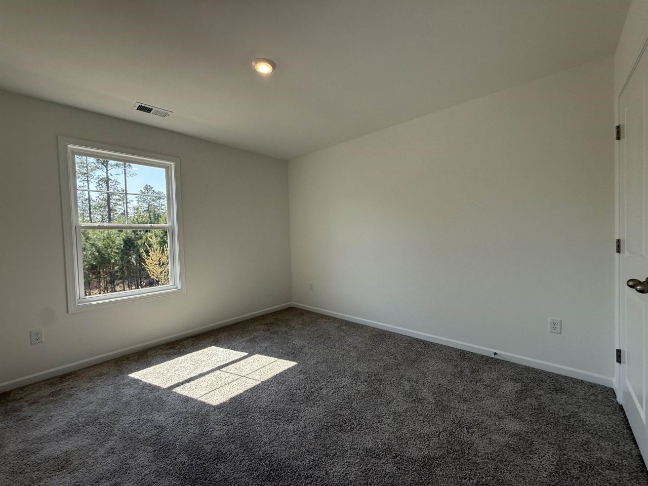 4103 Collins Farm Way Photo 24