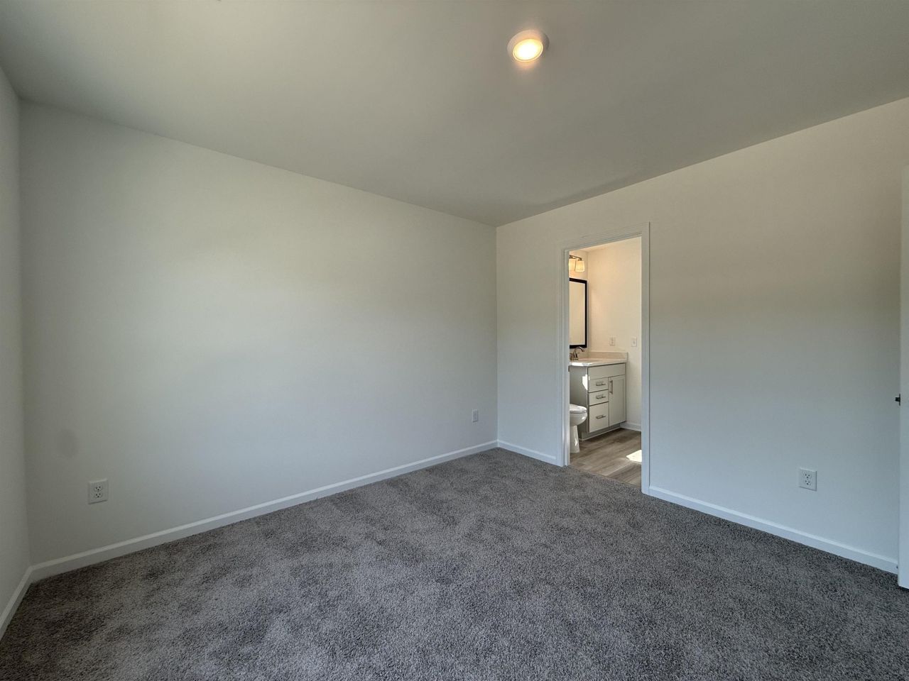 4103 Collins Farm Way Photo 29