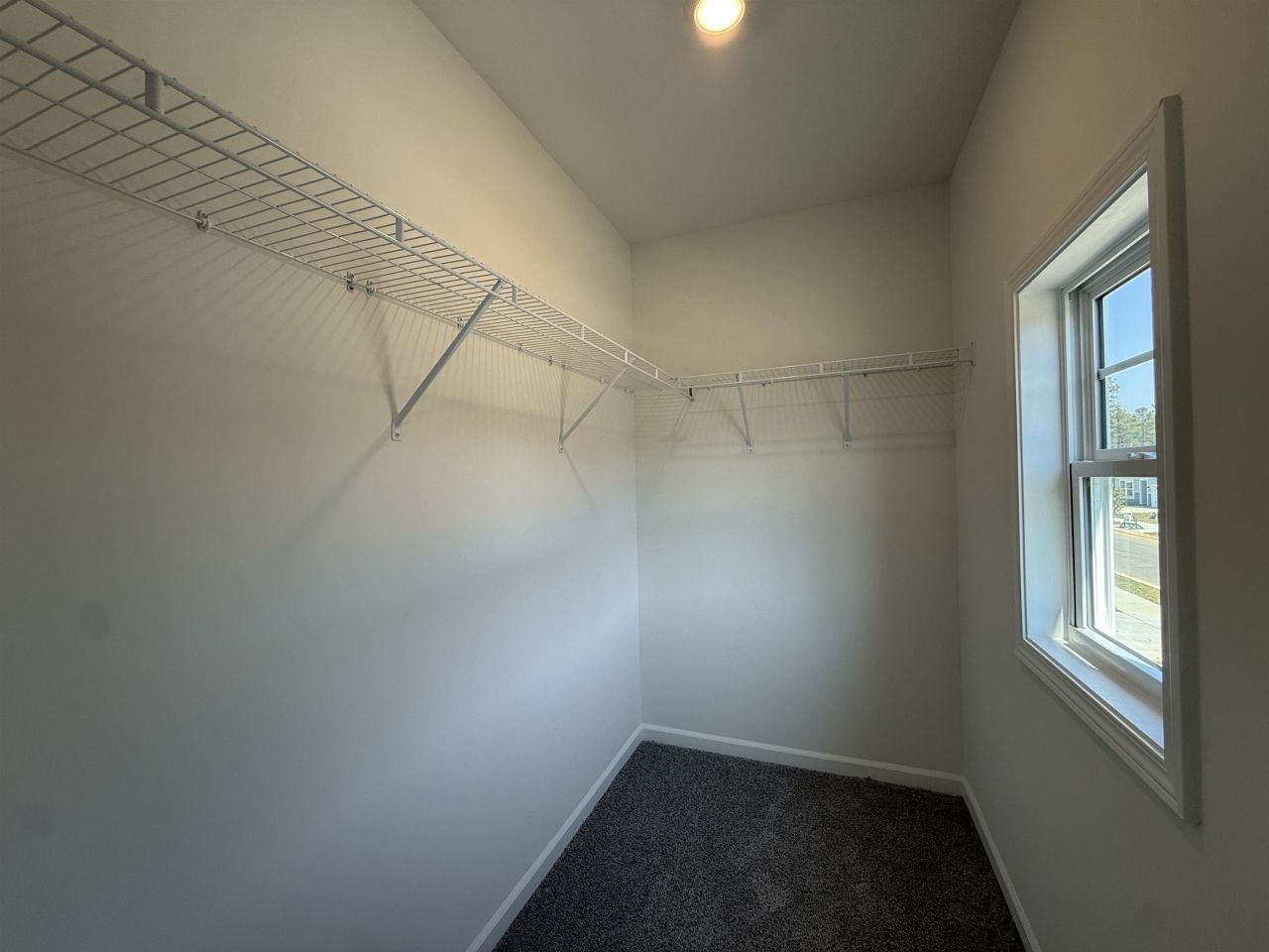 4103 Collins Farm Way Photo 30