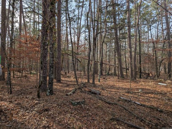 20 Segador Way, Hot Springs Village, AR 71909