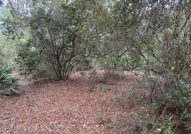 307 Lakeway Drive, Georgetown, FL 32139 Photo