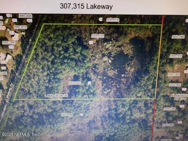 307 Lakeway Drive, Georgetown, FL 32139 Photo