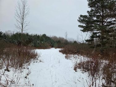 0000 Hadley Road , Lamotte Twp, MI 48426