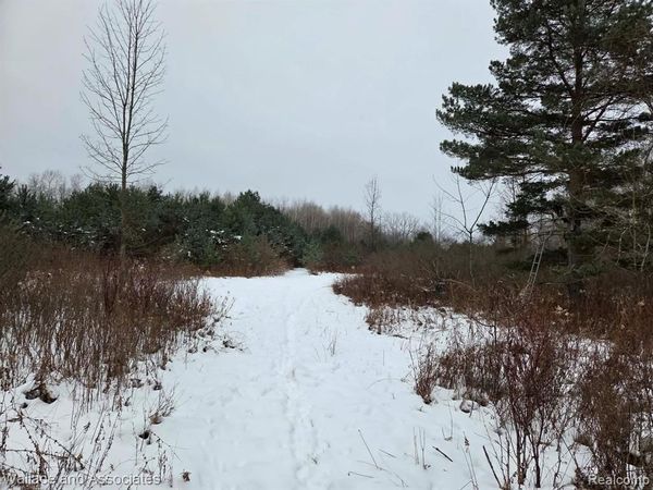 0000 Hadley Road, Lamotte Twp, MI 48426