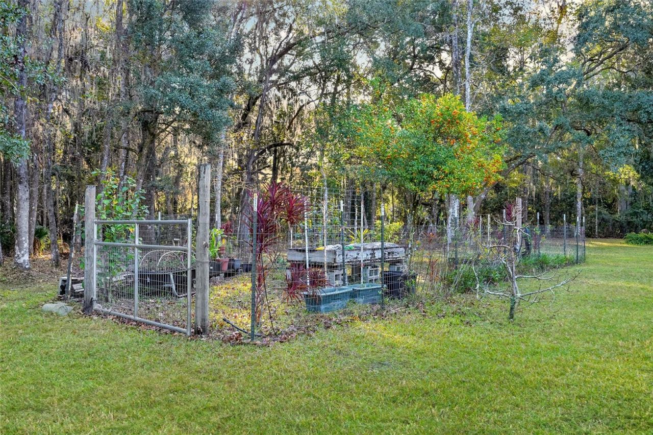 122 Drayton Island Road, Georgetown, FL 32139 Photo