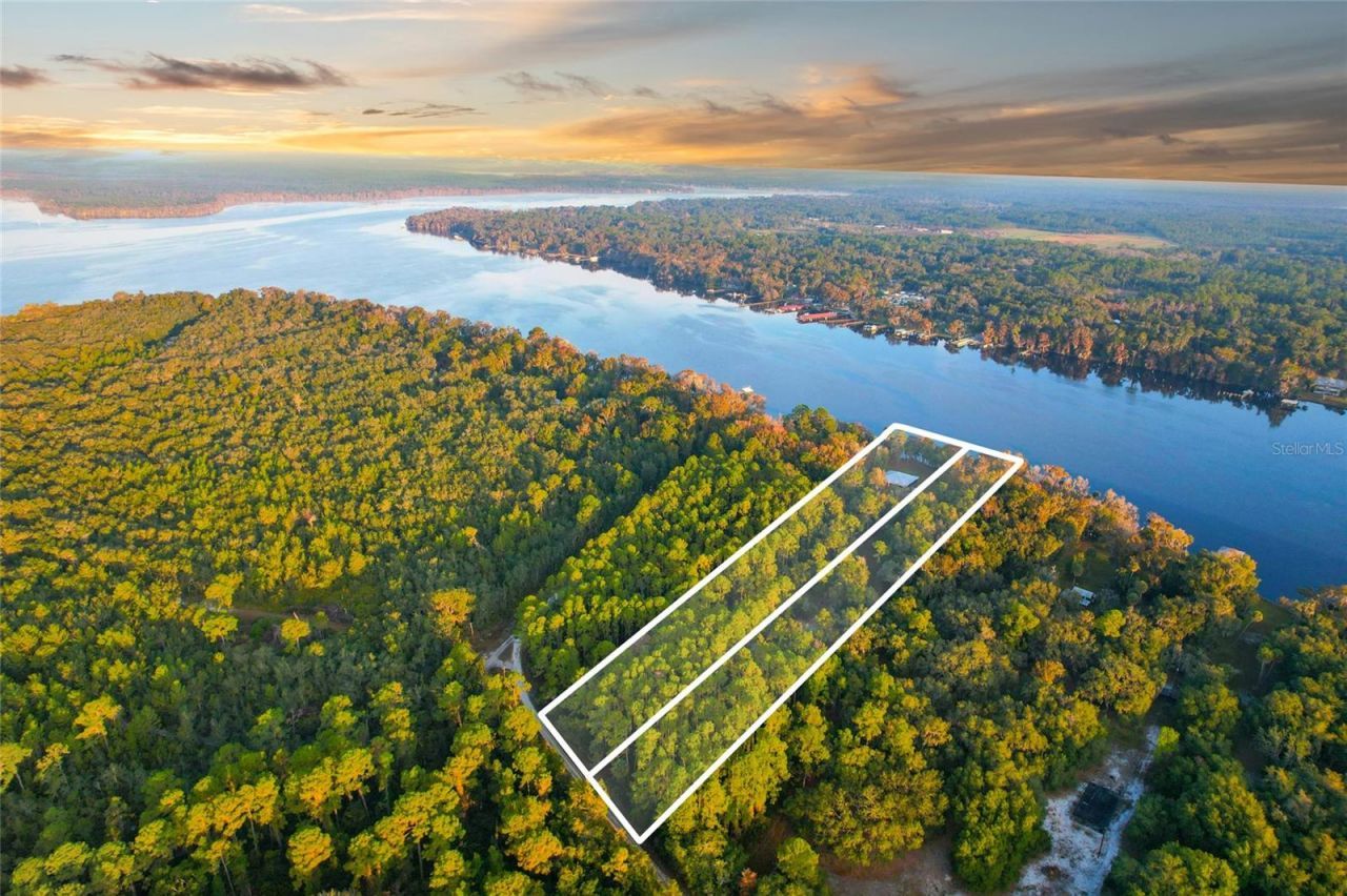 122 Drayton Island Road, Georgetown, FL 32139 Photo