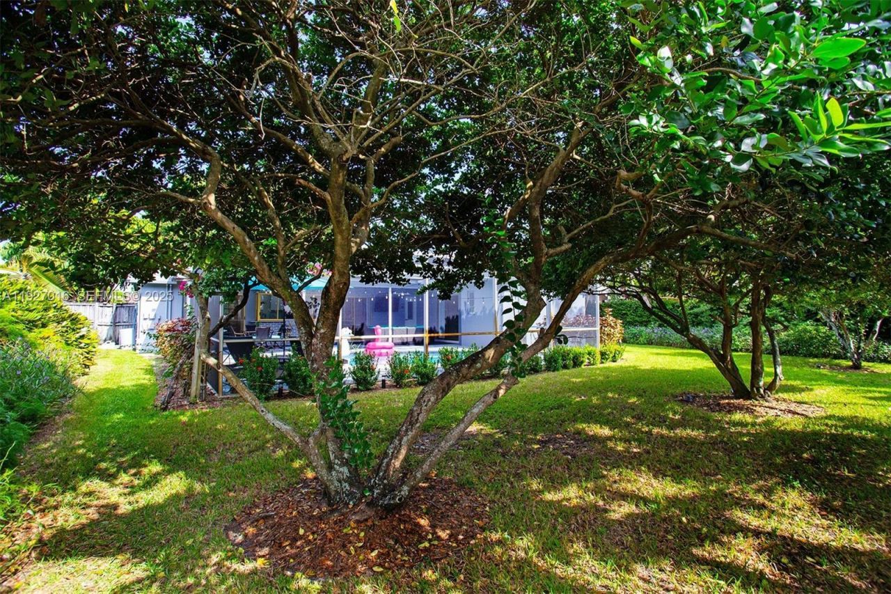 4316 Jackson St, Hollywood, FL 33021 Photo