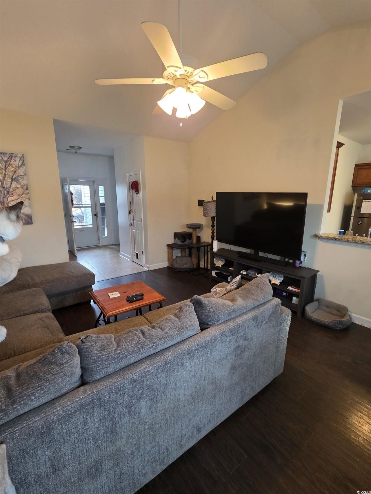 417 Cassian Way Photo 8