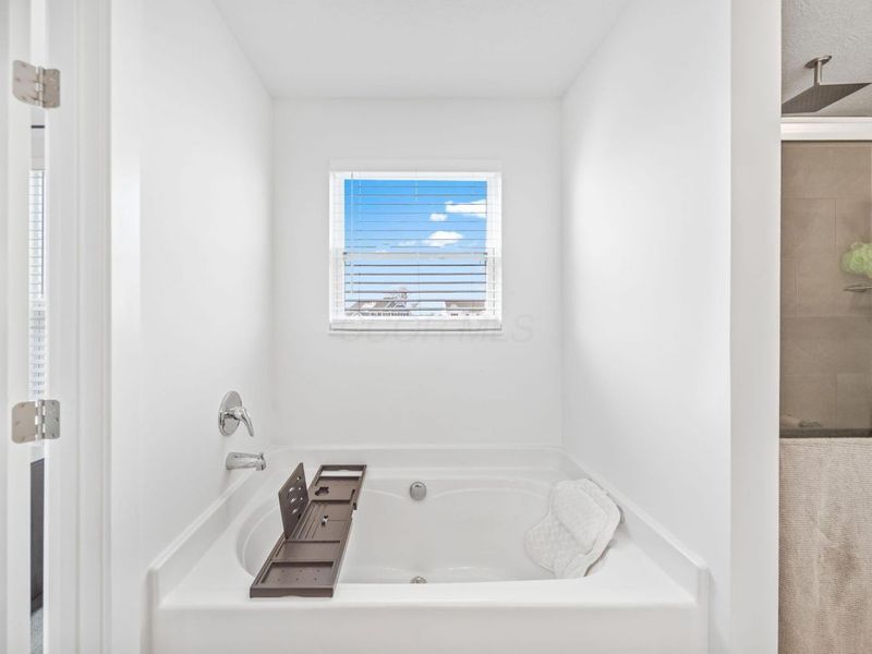 507 Walker Pointe Drive, Commercial Point, OH 43116 Photo 39