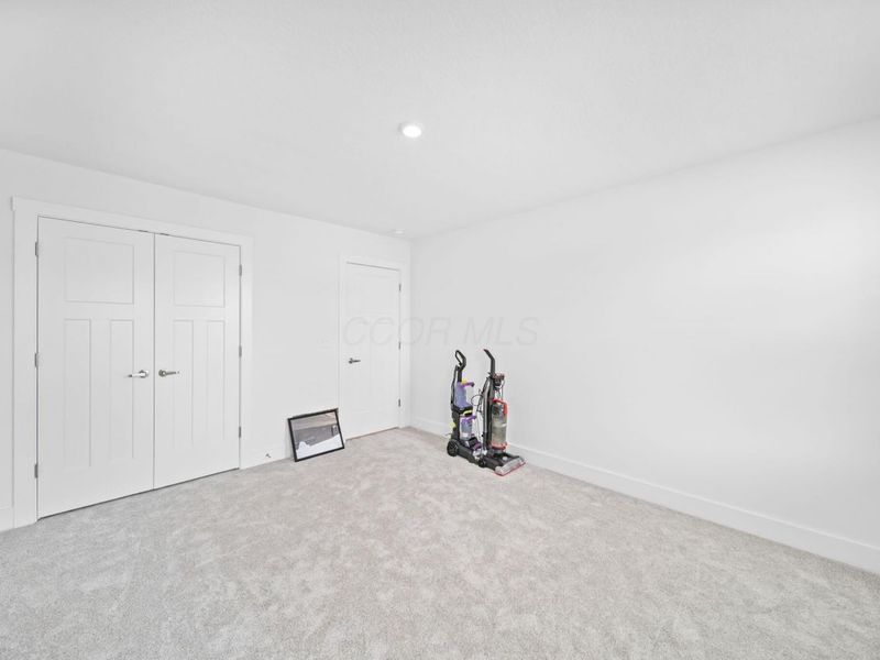 507 Walker Pointe Drive, Commercial Point, OH 43116 Photo 56