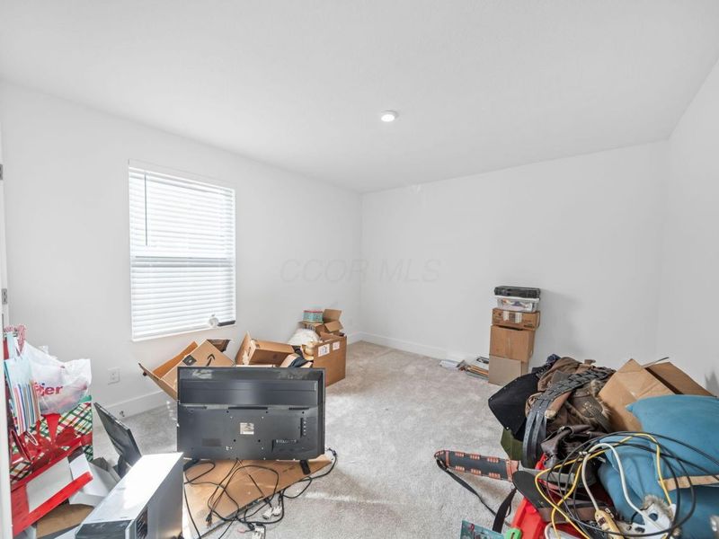 507 Walker Pointe Drive, Commercial Point, OH 43116 Photo 58