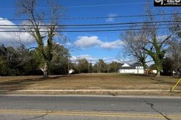 304 Saluda Avenue photo 4