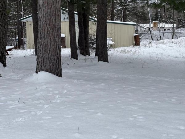 2472 Fawn Court, St. Helen, MI 48656