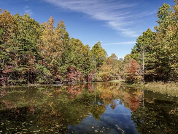 8.13 ac Harris Road, Monterey, TN 38574