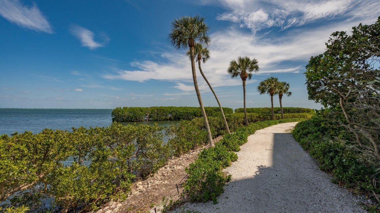 1932 Harbourside Drive, Unit 254, Longboat Key, FL 34228 Photo