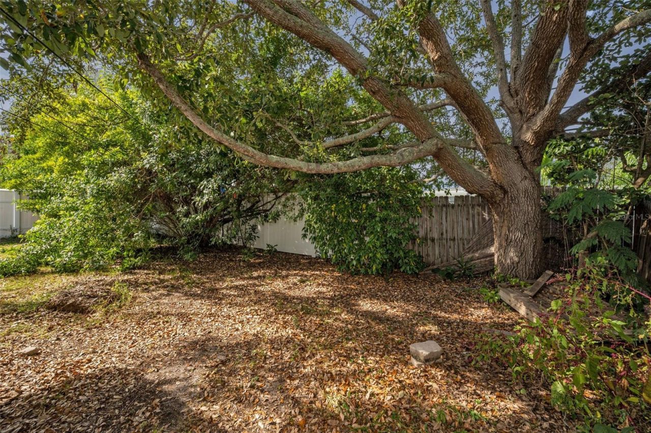 2476 Coronado Way, Dunedin, FL 34698 Photo