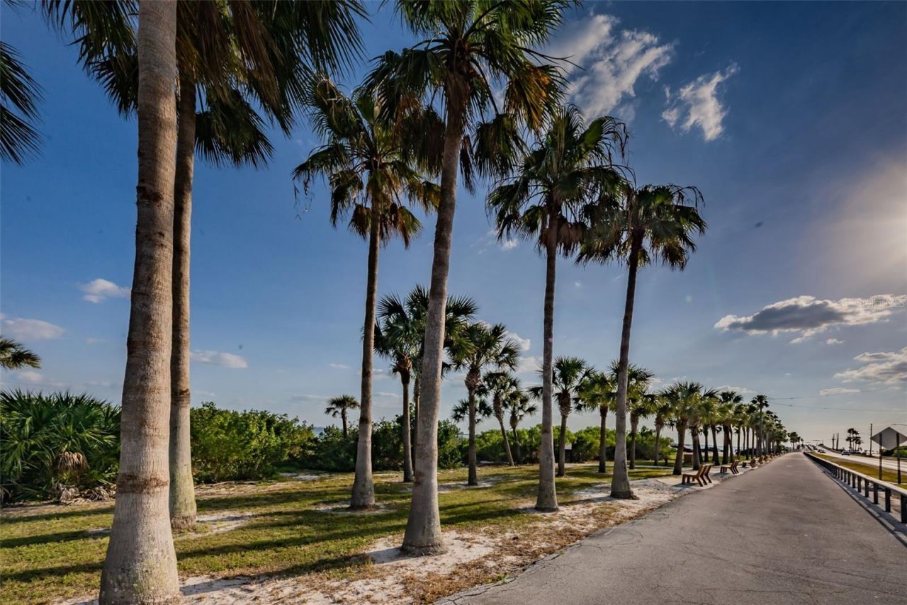 2476 Coronado Way, Dunedin, FL 34698 Photo