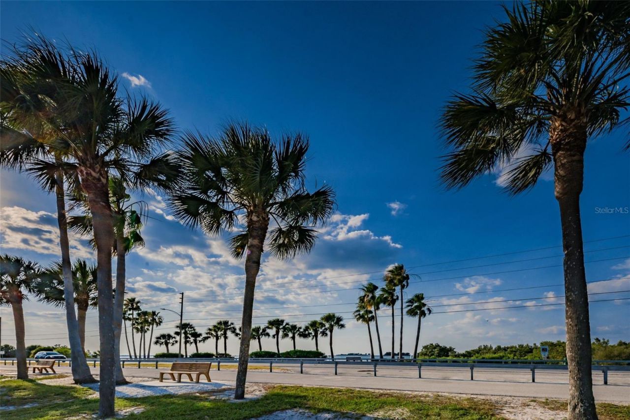 2476 Coronado Way, Dunedin, FL 34698 Photo