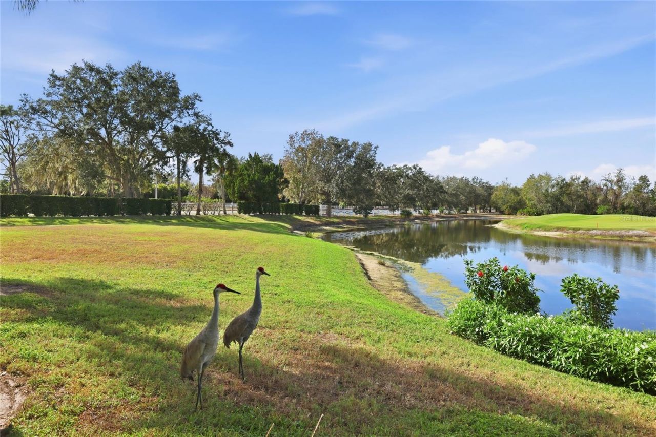 8422 Wethersfield Run, Unit 104, Lakewood Ranch, FL 34202 Photo