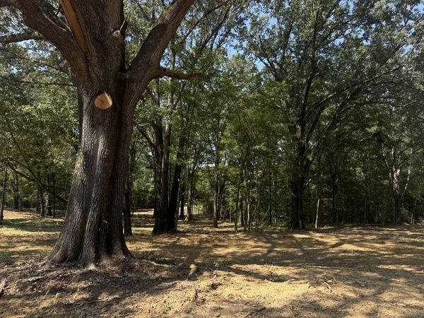 0 BELL GROVE RD, Oakland, TN 38028