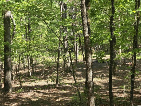 Lot 3305 OHIO Drive, Hot Springs, AR