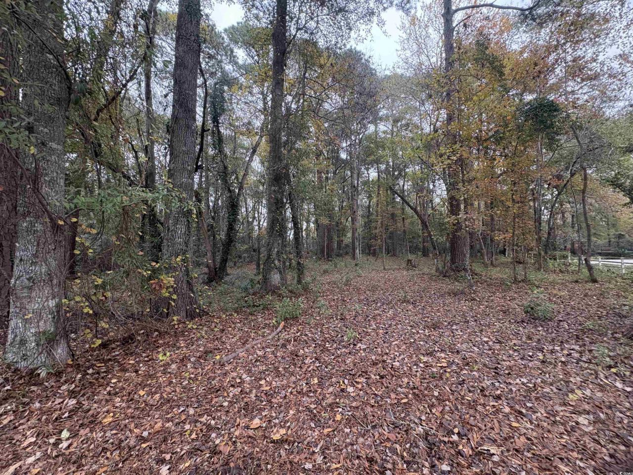 Lot 34 Old Augusta Dr. Photo 17