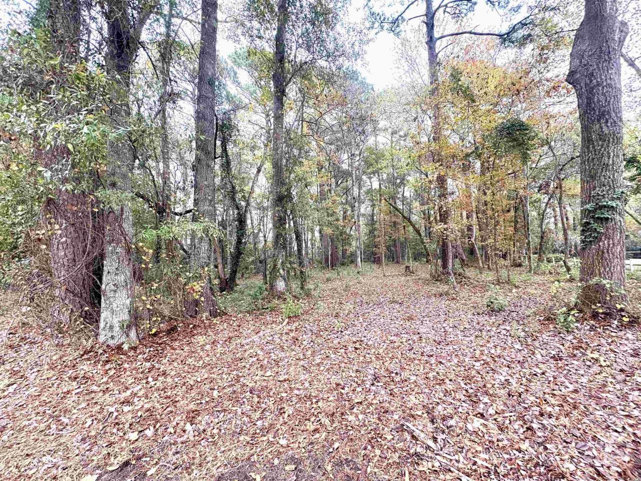 Lot 34 Old Augusta Dr. Photo 18