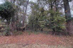 Lot 34 Old Augusta Dr. photo 4