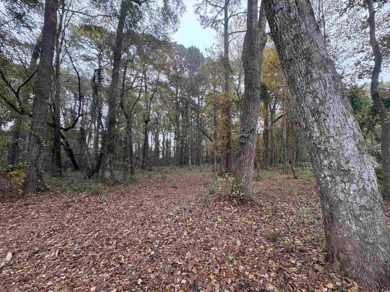 Lot 34 Old Augusta Dr. Photo 4