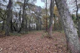 Lot 34 Old Augusta Dr. photo 4