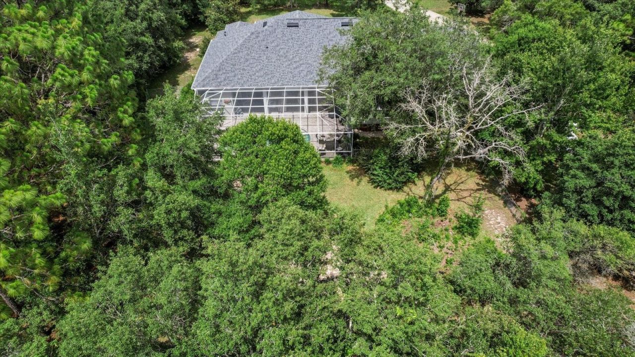 2900 W Lantana Drive, Beverly Hills, FL 34465 Photo