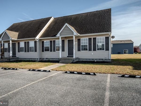 223 N BROWN STREET, FRUITLAND, MD 21826