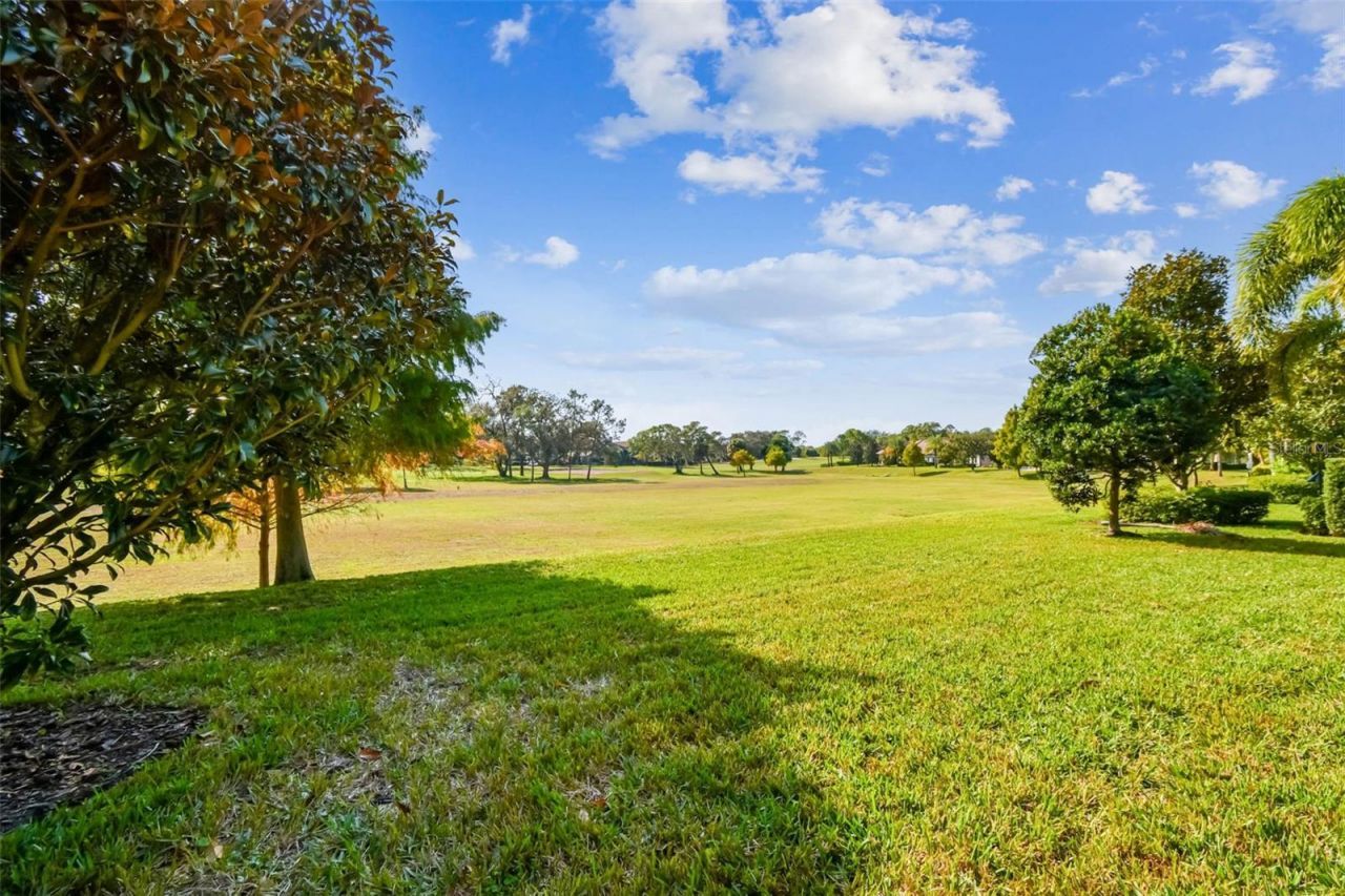 1446 Via Verdi Drive, Palm Harbor, FL 34683 Photo