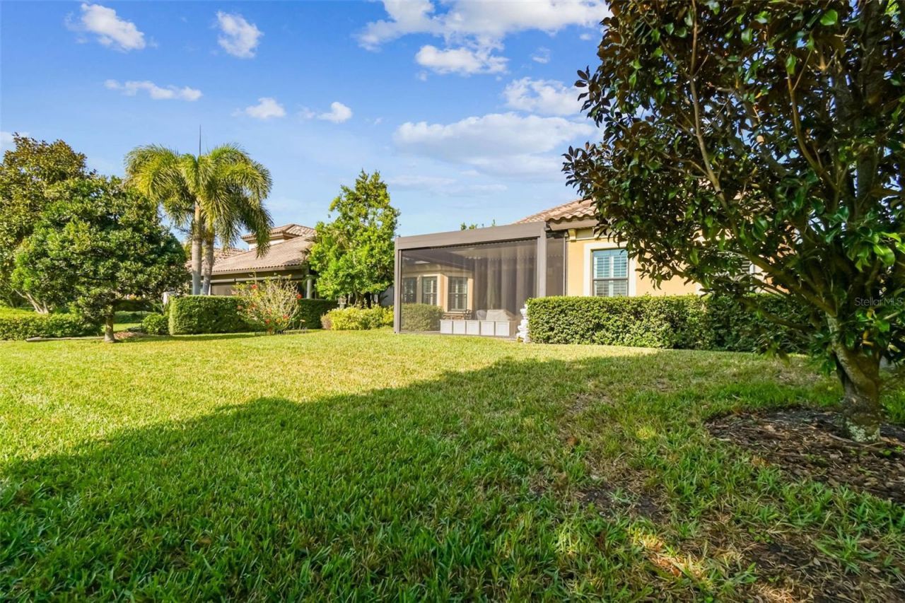 1446 Via Verdi Drive, Palm Harbor, FL 34683 Photo