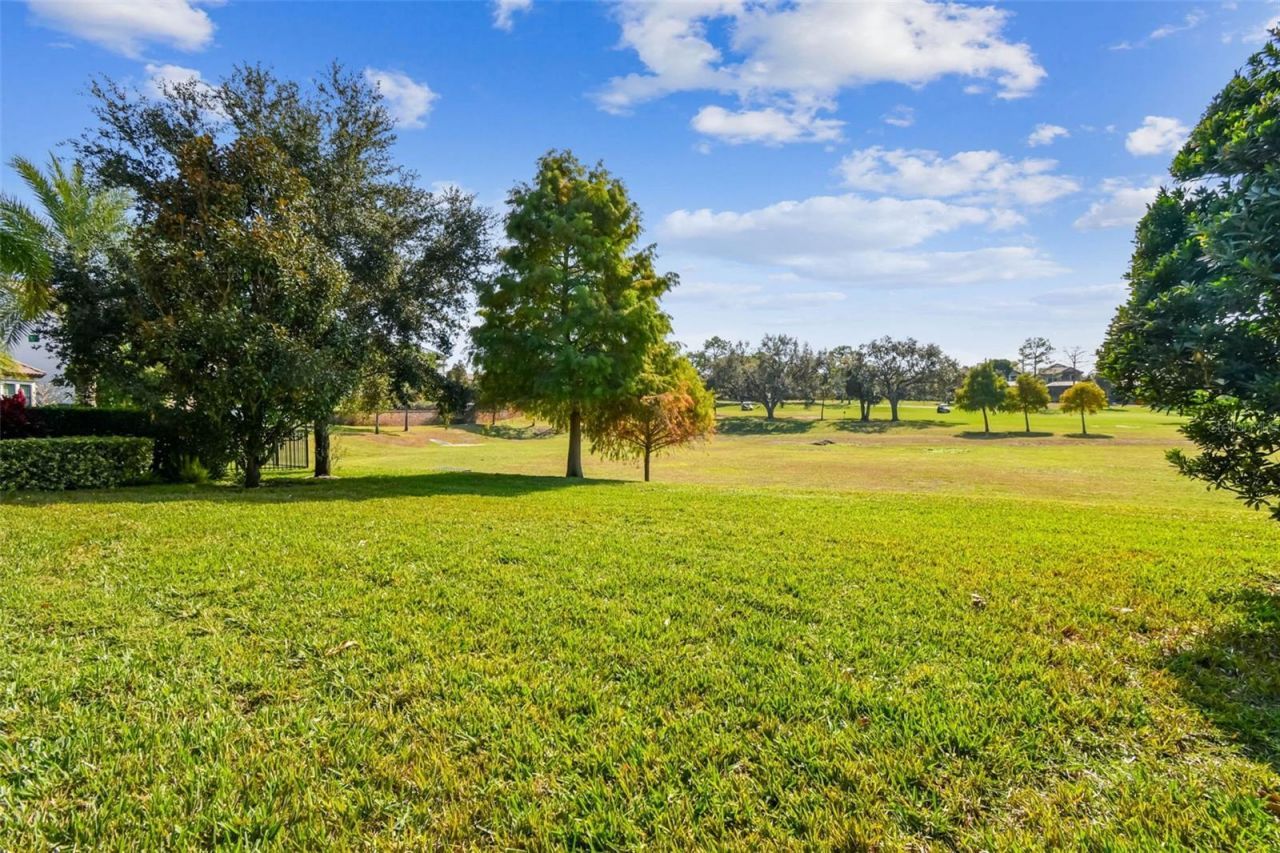 1446 Via Verdi Drive, Palm Harbor, FL 34683 Photo