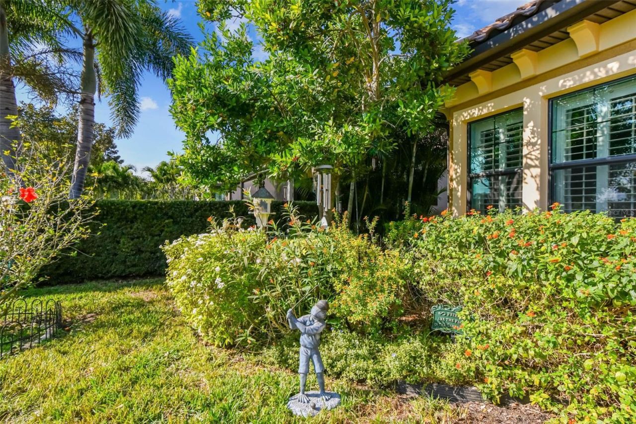 1446 Via Verdi Drive, Palm Harbor, FL 34683 Photo