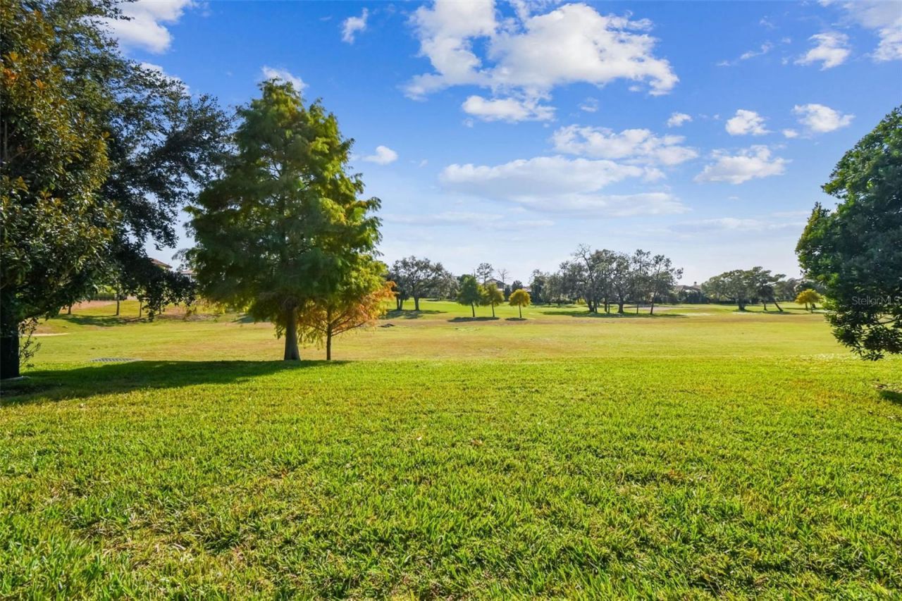 1446 Via Verdi Drive, Palm Harbor, FL 34683 Photo