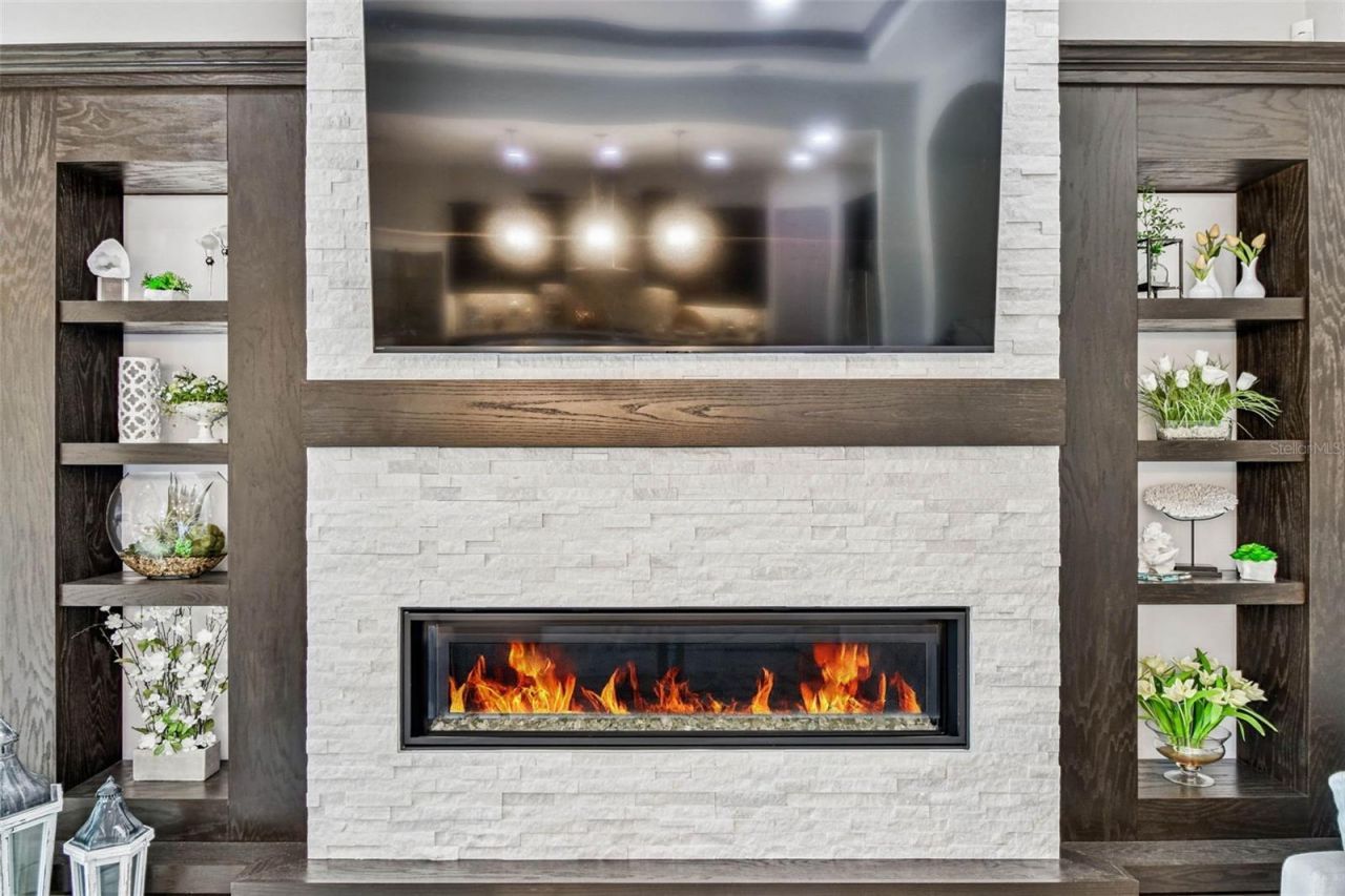 1446 Via Verdi Drive, Palm Harbor, FL 34683 Photo