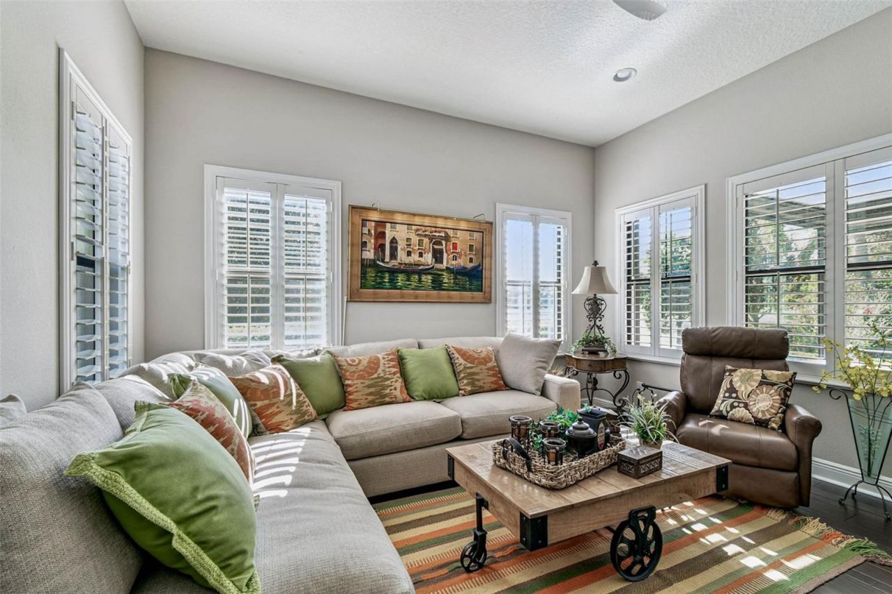 1446 Via Verdi Drive, Palm Harbor, FL 34683 Photo