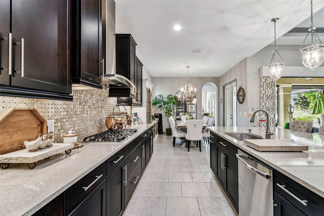 1446 Via Verdi Drive, Palm Harbor, FL 34683 Photo