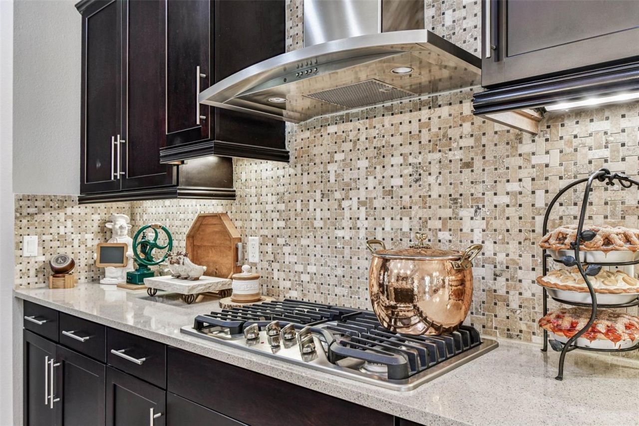 1446 Via Verdi Drive, Palm Harbor, FL 34683 Photo