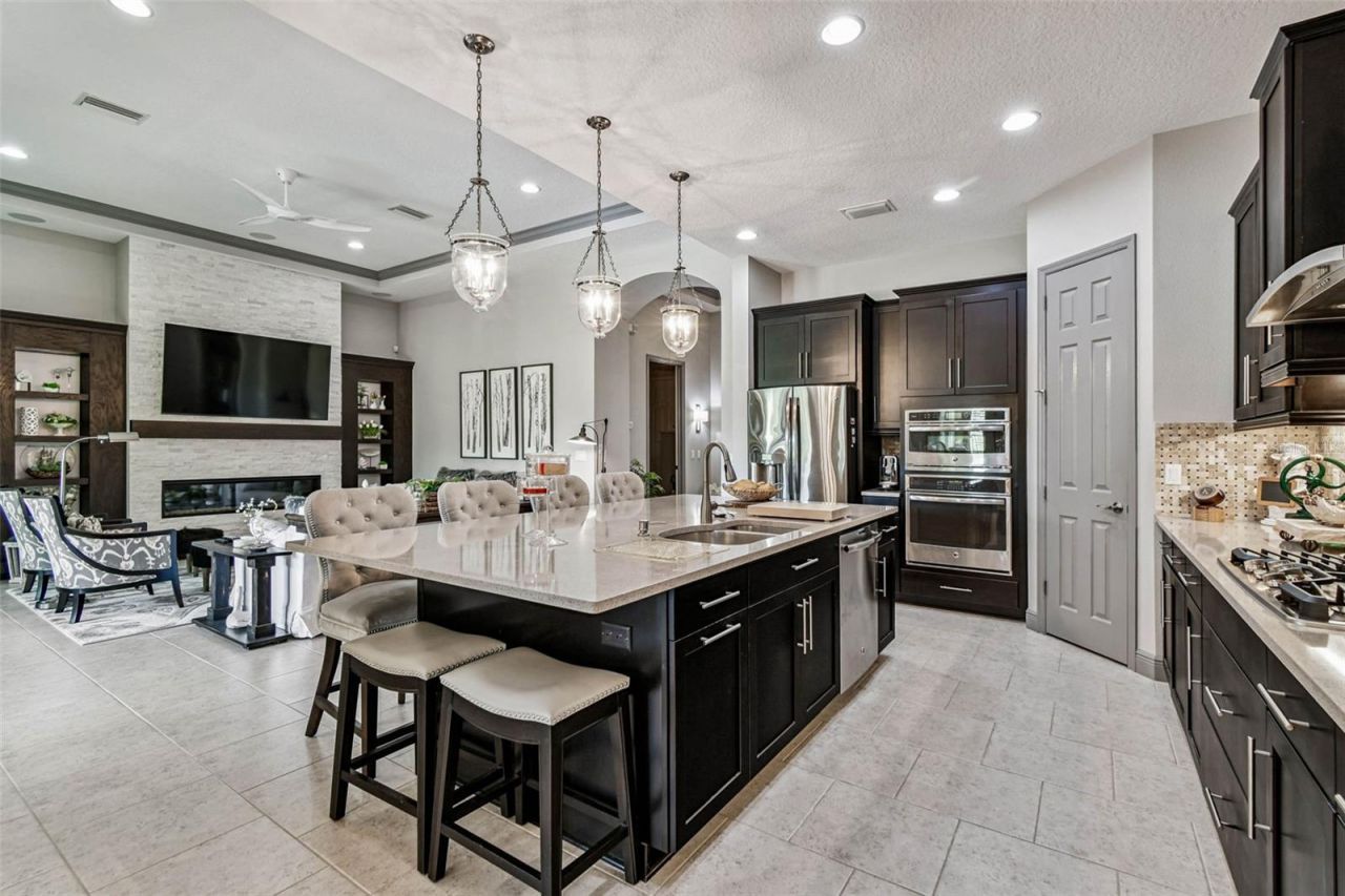 1446 Via Verdi Drive, Palm Harbor, FL 34683 Photo