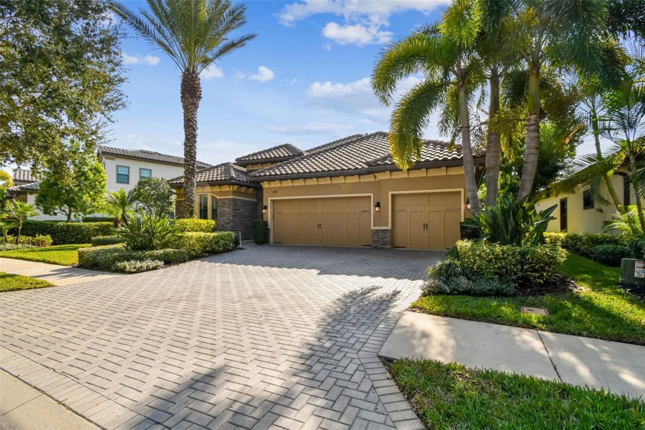1446 Via Verdi Drive, Palm Harbor, FL 34683 Photo